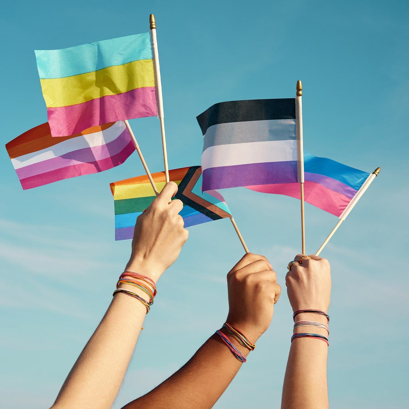 Asexual Bracelet
