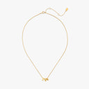 Gamma Phi Beta Collection
