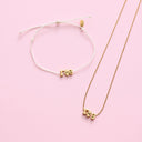 Gamma Phi Beta Collection